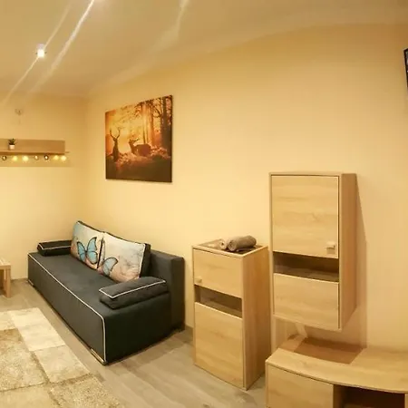Apartament Na Halnej, Parking W Cenie! Blisko Deptak! Wygodnie Wyposazony! Krynica-Zdrój Esterno foto