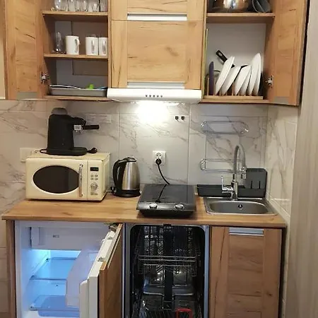 Apartament Na Halnej, Parking W Cenie! Blisko Deptak! Wygodnie Wyposazony! Krynica-Zdrój Esterno foto