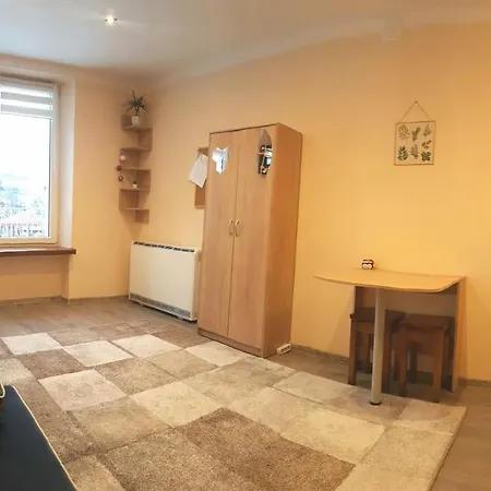 Apartament Na Halnej, Parking W Cenie! Blisko Deptak! Wygodnie Wyposazony! Krynica-Zdrój Esterno foto